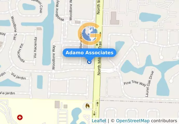 Adamo Associates