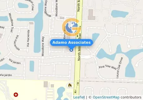 Adamo Associates