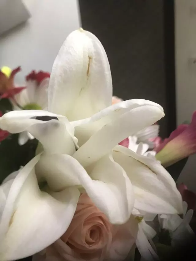 Camile's Flowers & Gifts