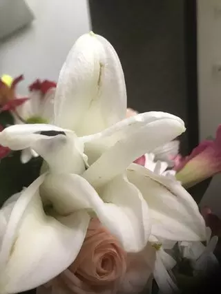 Camile's Flowers & Gifts