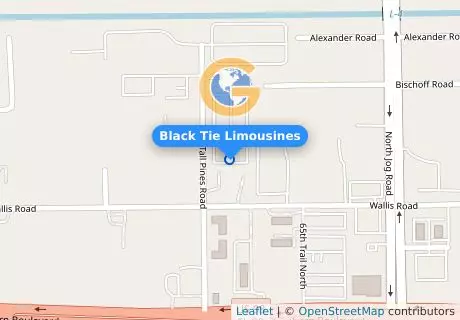 Black Tie Limousines