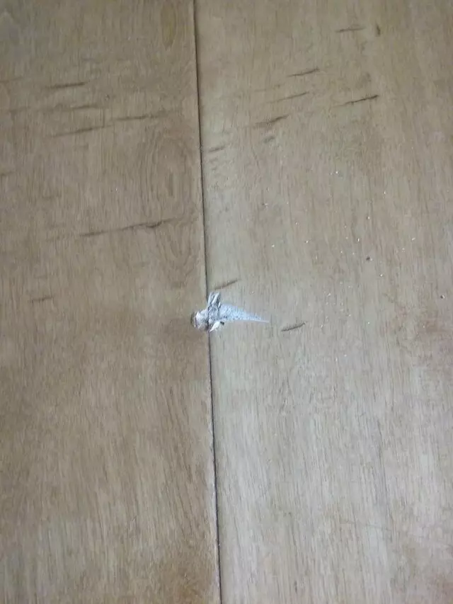 Ace Moving Company