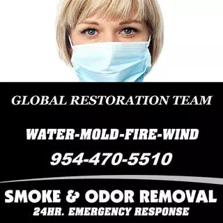 Global Restoration Team