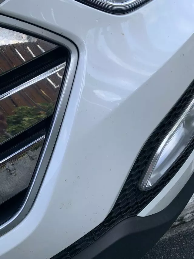 Mint Eco Car Wash