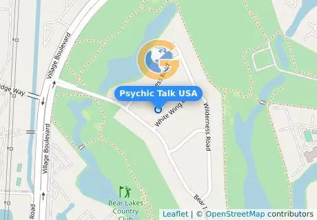 Psychic Talk USA
