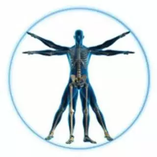 Premier Wellness