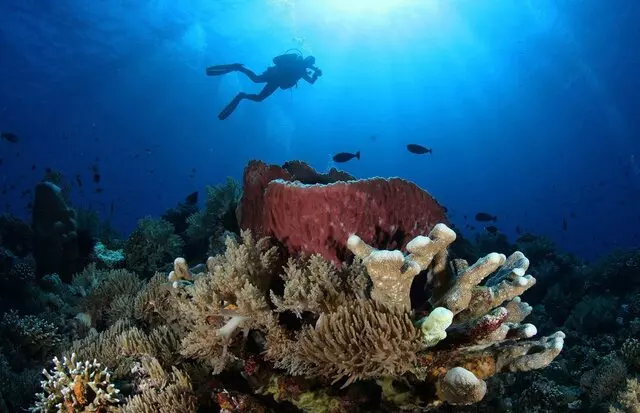 Atlantic Underwater