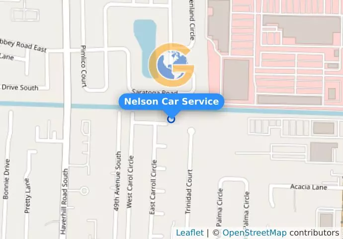 Nelson Car Service