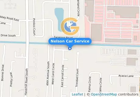 Nelson Car Service