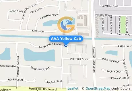 AAA Yellow Cab
