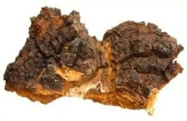 Z Natural Foods
