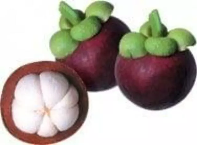 Z Natural Foods