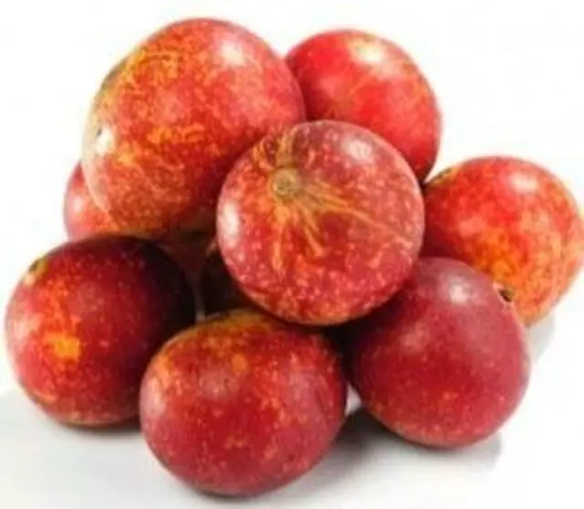 Z Natural Foods