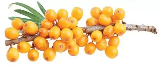 Z Natural Foods