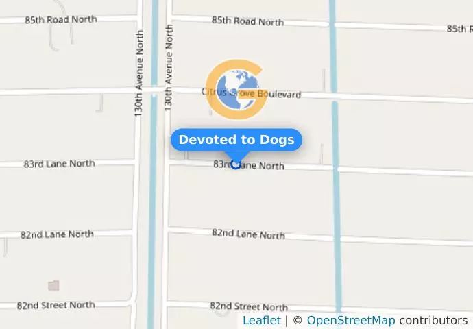 Devoted to Dogs