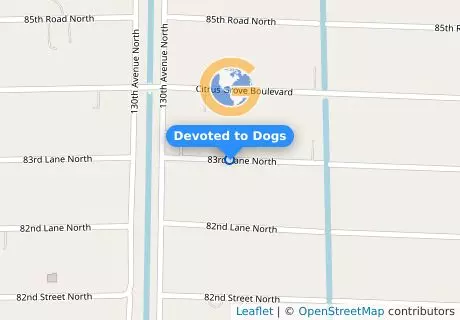 Devoted to Dogs