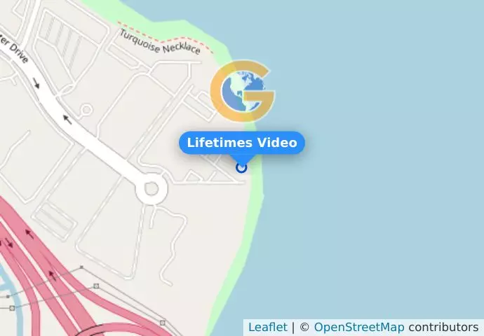 Lifetimes Video