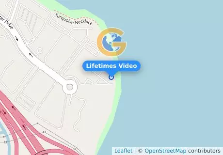 Lifetimes Video