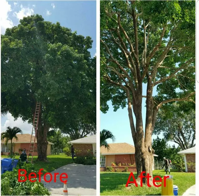 Robert&apos;s Tree Works