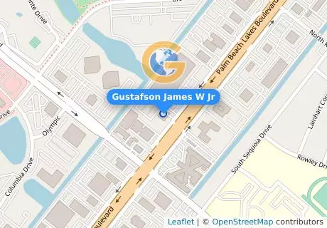Gustafson James W Jr