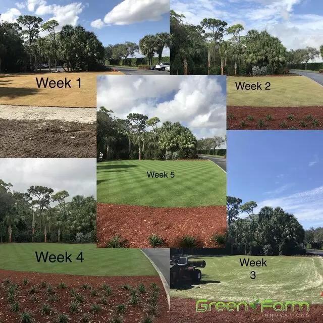 Green Farm Innovations