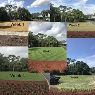 Green Farm Innovations