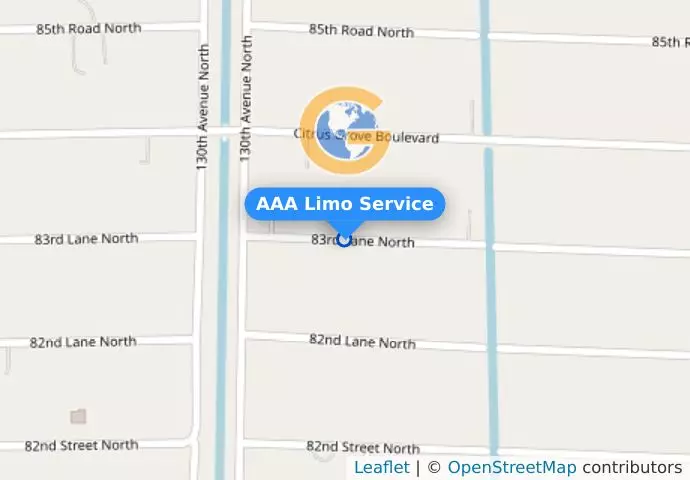 AAA Limo Service