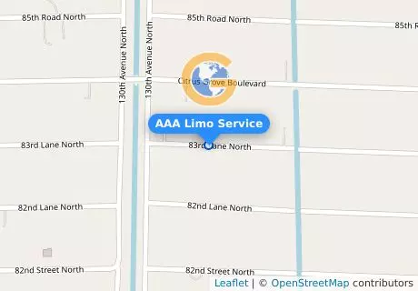 AAA Limo Service