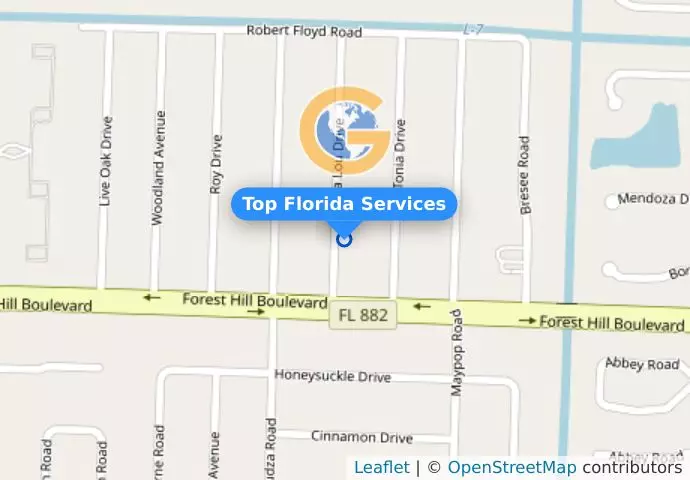Top Florida Services