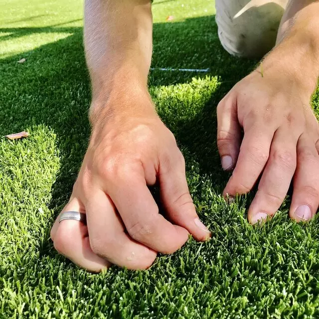 ForeverLawn