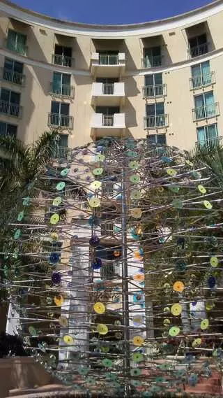 610 Clematis