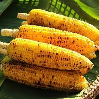 Crazy Corn