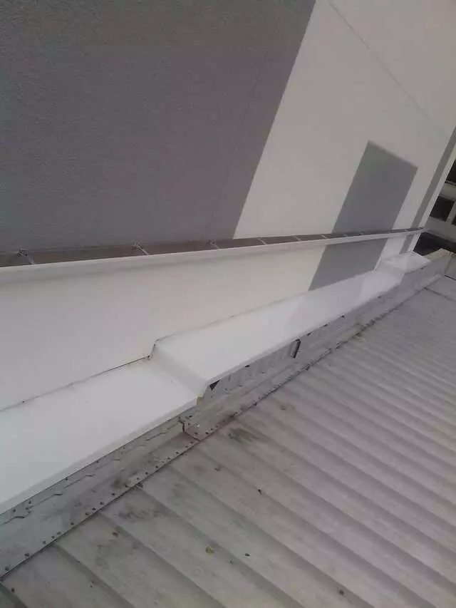 Palm Gutters