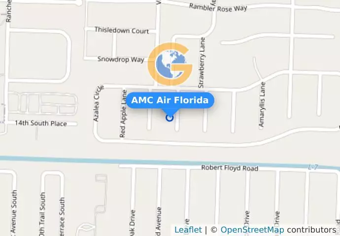 AMC Air Florida