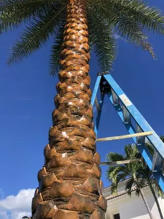 Chun's Landscaping