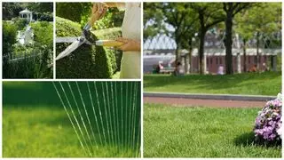 DJ'S Lawn Maintenance