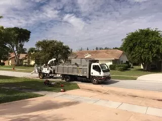 Vasquez Tree Service