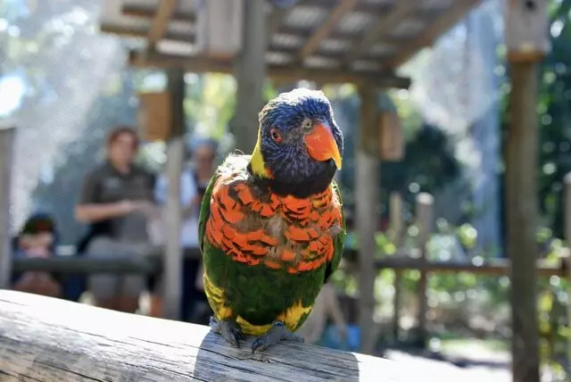 Palm Beach Zoo