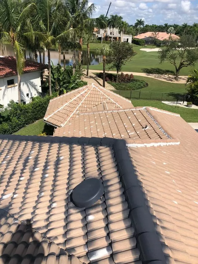 Rhino Roof Protection Coatings and Painting