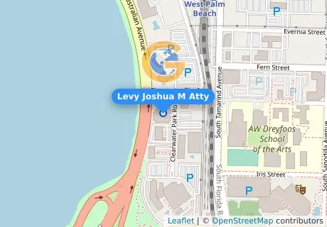 Levy Joshua M Atty