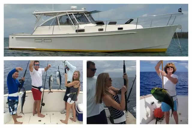 Charter Killer Bee