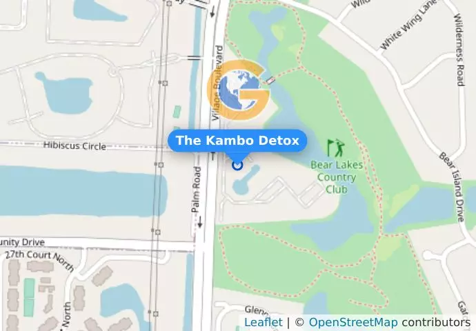 The Kambo Detox