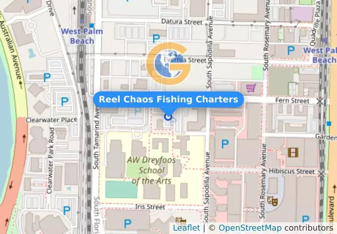Reel Chaos Fishing Charters