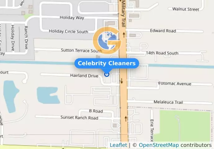 Celebrity Cleaners
