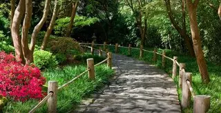 RJ Green Landscaping