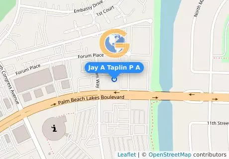 Jay A Taplin P A