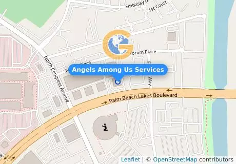 Angels Among Us Services