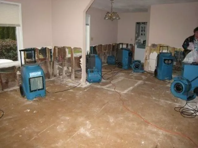 All Flood Services