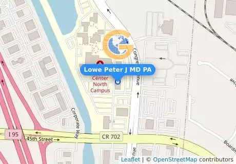 Lowe Peter J MD PA