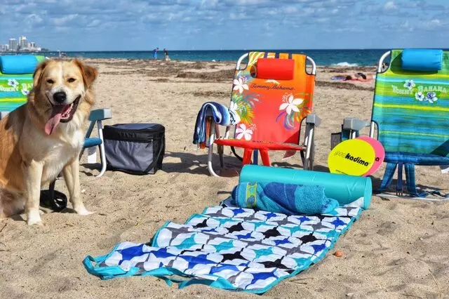 Mahalo Beach Rental Essentials
